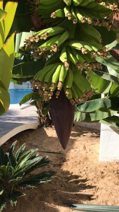 Gezellige Villa Met Prachtig Zicht En Zwembad Arona  Dış mekan fotoğraf