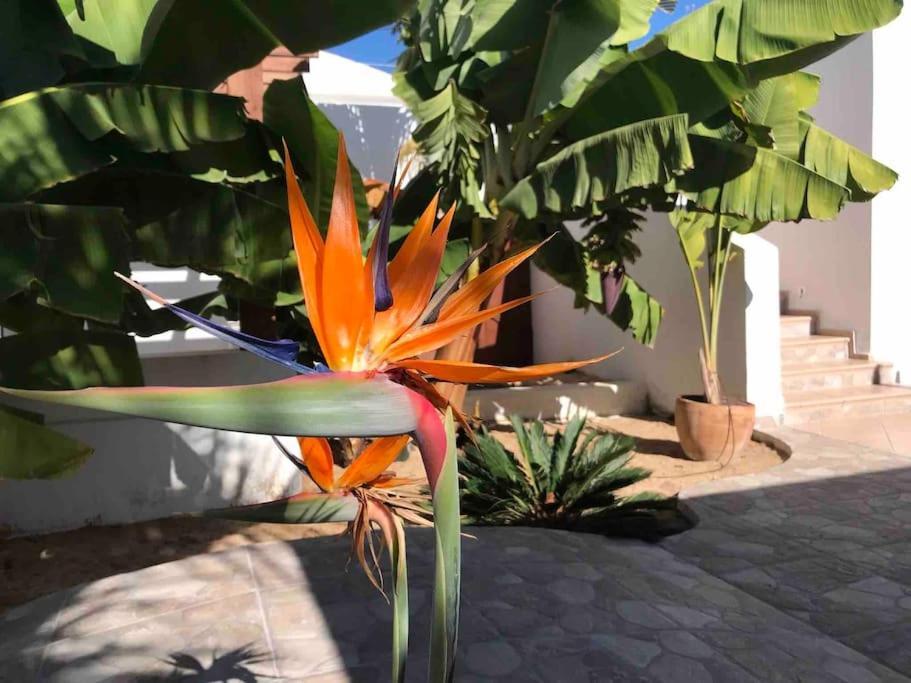 Gezellige Villa Met Prachtig Zicht En Zwembad Arona  Dış mekan fotoğraf